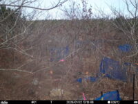 Jan 2 2026 13:13:46, #01