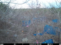 Jan 2 2026 16:13:48, #01