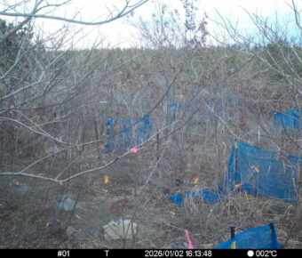 Jan 2 2026 16:13:48, #01