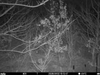 Jan 2 2026 19:13:47, #01