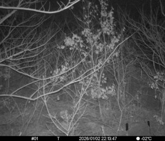 Jan 2 2026 22:13:46, #01