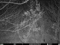 Jan 3 2026  1:13:47, #01