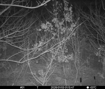 Jan 3 2026  1:13:47, #01