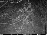 Jan 3 2026  4:13:47, #01