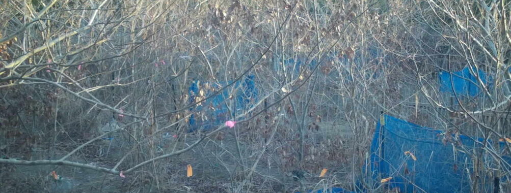 Jan 3 2026  7:13:48, #01