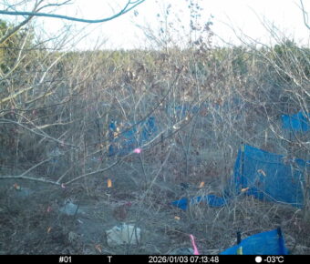 Jan 3 2026  7:13:48, #01