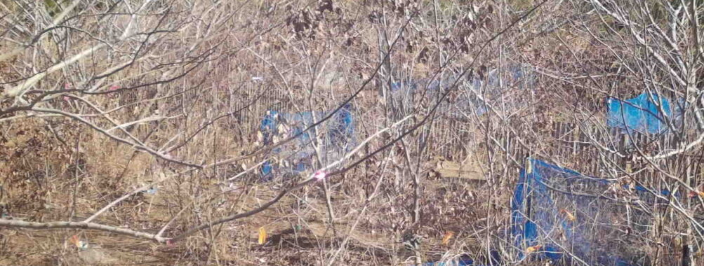 Jan 3 2026 10:13:48, #01