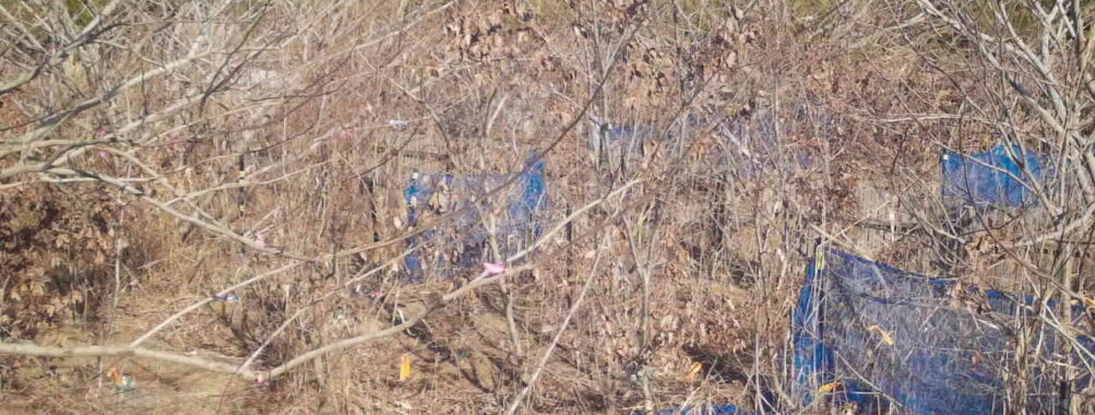 Jan 3 2026 13:13:48, #01