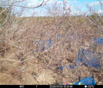 Jan 3 2026 13:13:48, #01