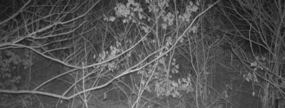 Jan 3 2026 19:13:47, #01