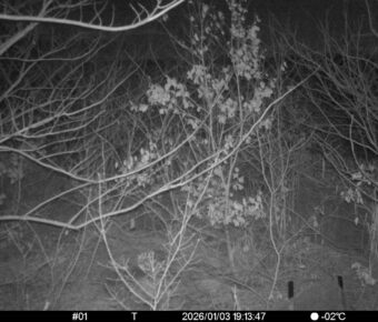 Jan 3 2026 19:13:47, #01