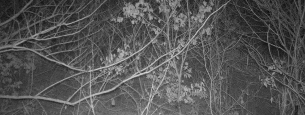 Jan 4 2026  1:13:47, #01