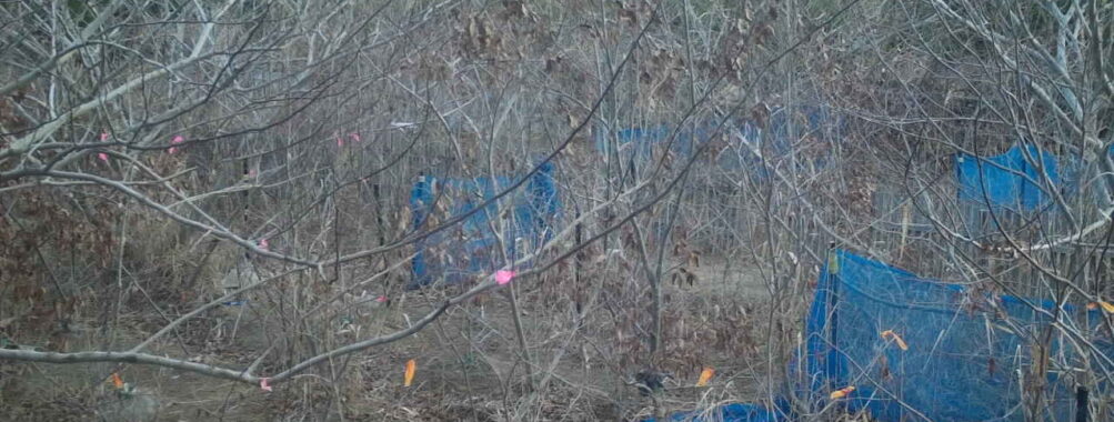 Jan 4 2026  7:13:48, #01