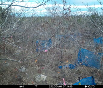 Jan 4 2026  7:13:48, #01