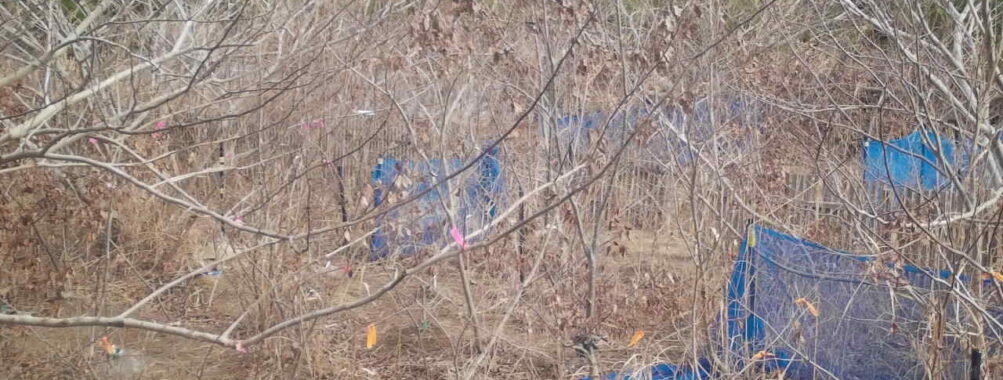 Jan 4 2026 10:13:48, #01