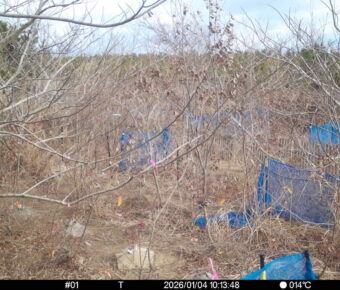 Jan 4 2026 10:13:48, #01