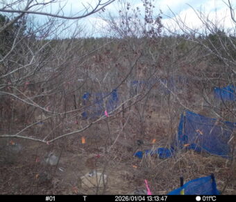 Jan 4 2026 13:13:47, #01