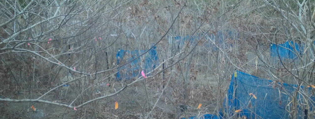 Jan 4 2026 16:13:47, #01