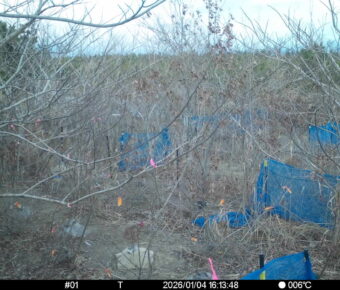 Jan 4 2026 16:13:47, #01