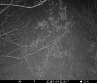 Jan 4 2026 22:13:47, #01