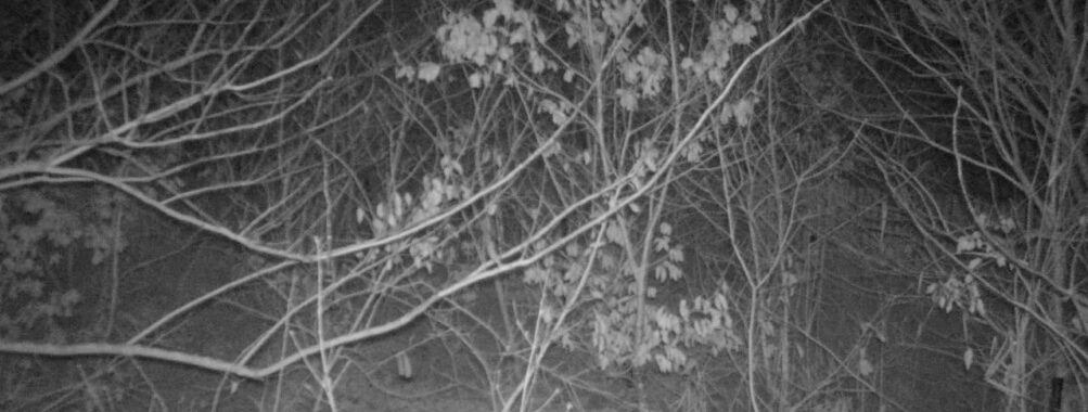 Jan 5 2026  1:13:47, #01