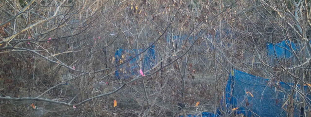 Jan 5 2026  7:13:48, #01