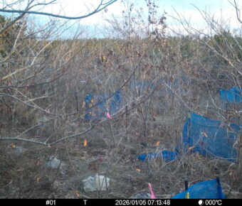 Jan 5 2026  7:13:48, #01