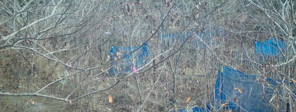 Jan 5 2026 10:13:47, #01