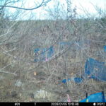 Jan 5 2026 10:13:47, #01