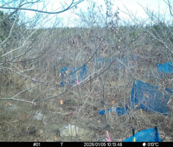 Jan 5 2026 10:13:47, #01