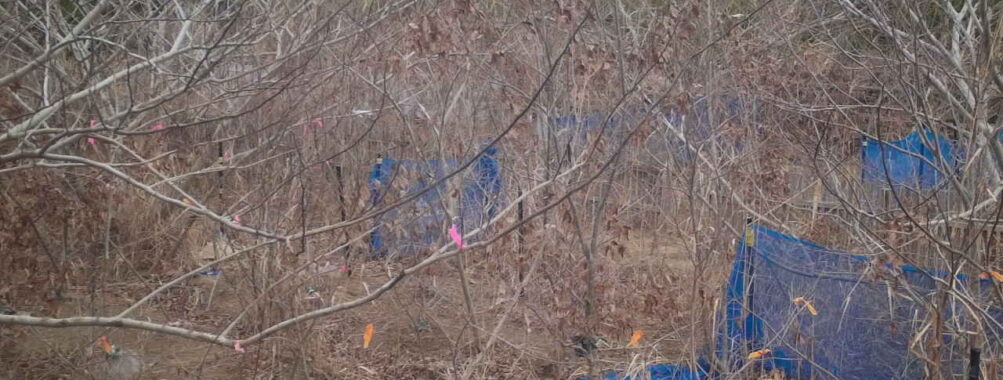 Jan 5 2026 13:13:47, #01