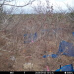 Jan 5 2026 13:13:47, #01