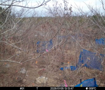 Jan 5 2026 13:13:47, #01