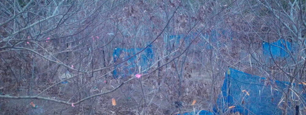 Jan 5 2026 16:13:48, #01