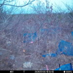 Jan 5 2026 16:13:48, #01