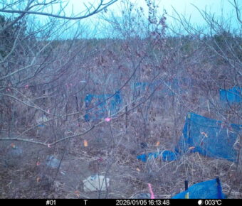 Jan 5 2026 16:13:48, #01