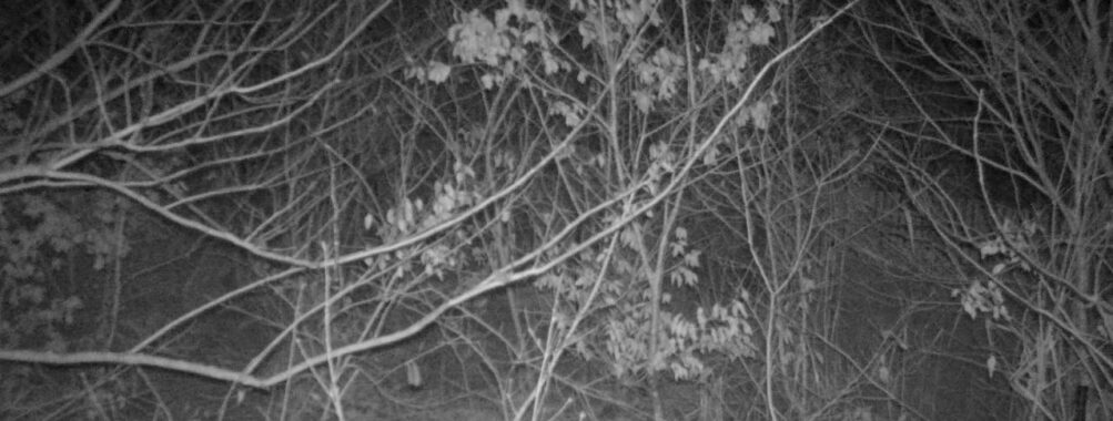 Jan 5 2026 19:13:48, #01