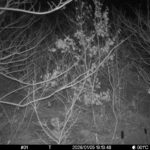 Jan 5 2026 19:13:48, #01