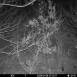 Jan 6 2026  1:13:47, #01