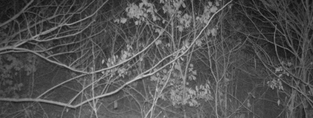 Jan 6 2026  4:13:47, #01