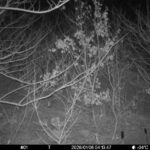 Jan 6 2026  4:13:47, #01