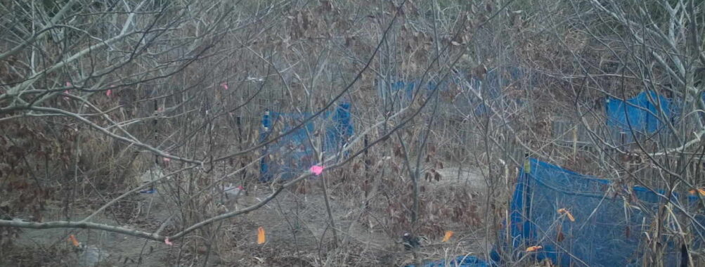 Jan 6 2026  7:13:48, #01