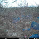 Jan 6 2026  7:13:48, #01