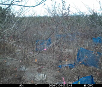 Jan 6 2026  7:13:48, #01