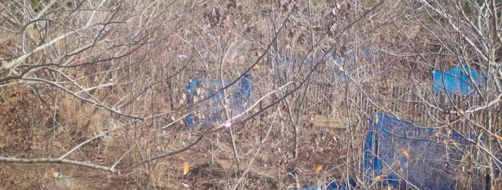 Jan 6 2026 10:13:48, #01