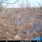 Jan 6 2026 10:13:48, #01