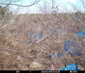 Jan 6 2026 10:13:48, #01