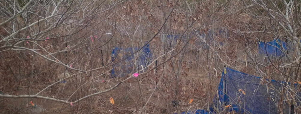 Jan 6 2026 13:13:47, #01