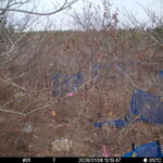 Jan 6 2026 13:13:47, #01