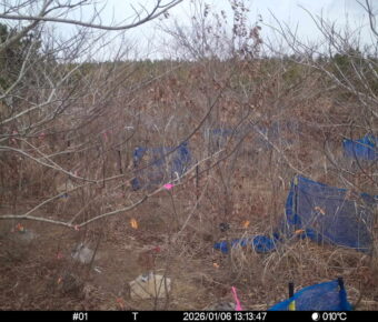 Jan 6 2026 13:13:47, #01